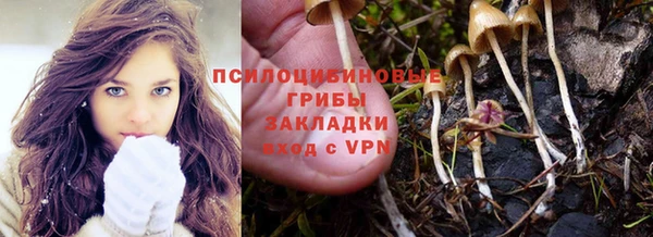 гашиш Бородино